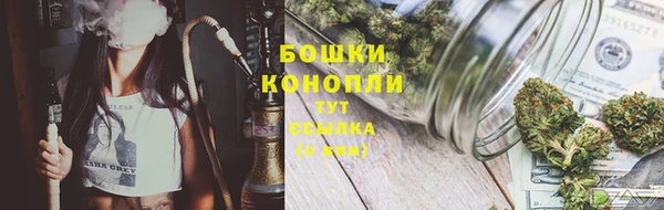 СК Зеленокумск