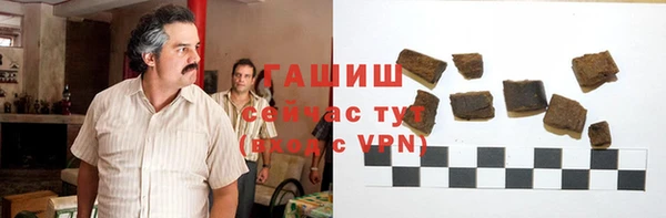прущие грибы Рославль