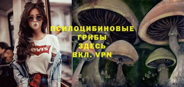 дурь Зерноград