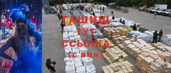 прущие грибы Рославль