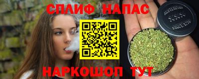 mdpv Камышлов