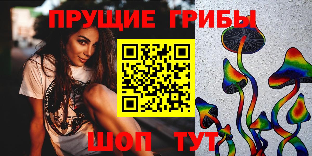 Псилоцибиновые грибы GOLDEN TEACHER  Вход с VPN  Саянск  Псилоцибиновые грибы Psilocybe 